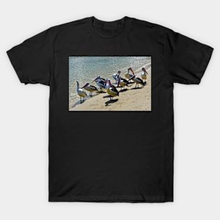 A Flock of Pelicans on the Beach! T-Shirt